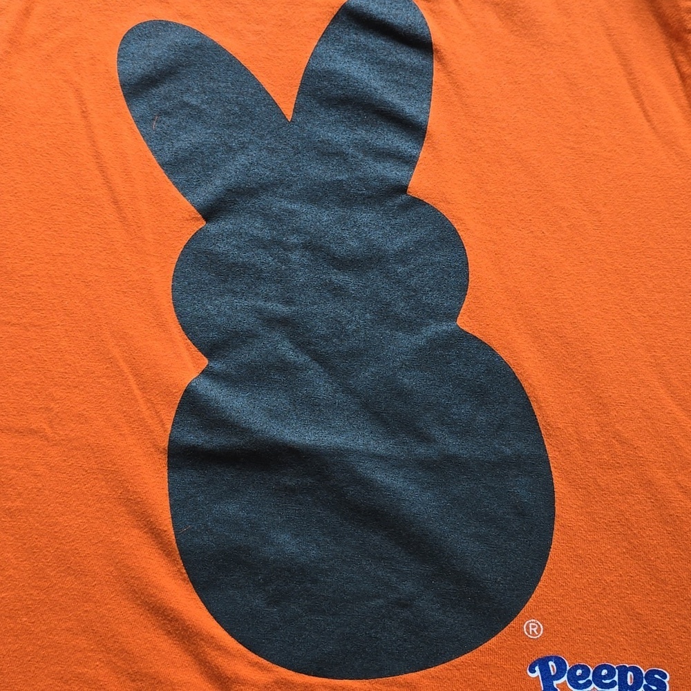 PEEPS Orange Kids T-Shirt with  Bunny Design - Youth Small - Picture 2 of 7